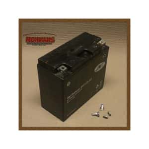 Bateria de gel JMT YT12B-BS