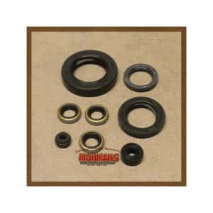 Kit retenes motor Kawasaki KZ900