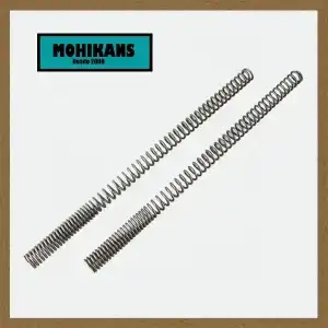 Muelles de horquilla ( 37mm) Honda CB900F Bol d´Or