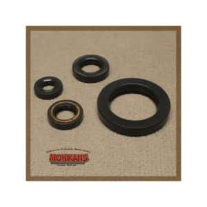 Kit retenes motor XV535