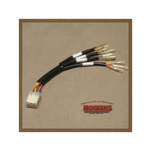 Adaptador piloto e intermitentes traseros B