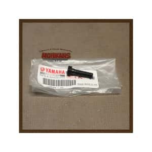 Tornillo disco freno delantero